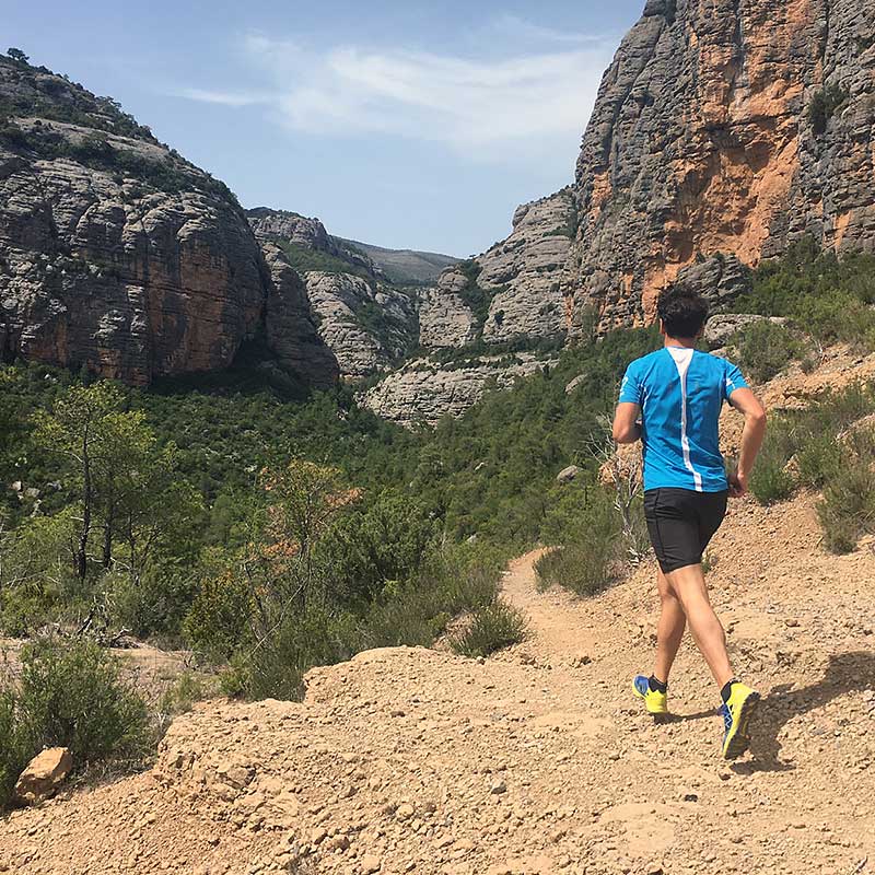 scarpa alpinerunning