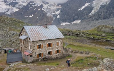 Ortler a příběh nových bot