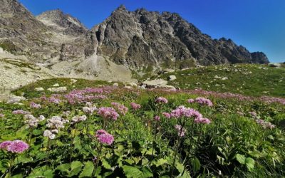 Lezecký pozdrav z Tater