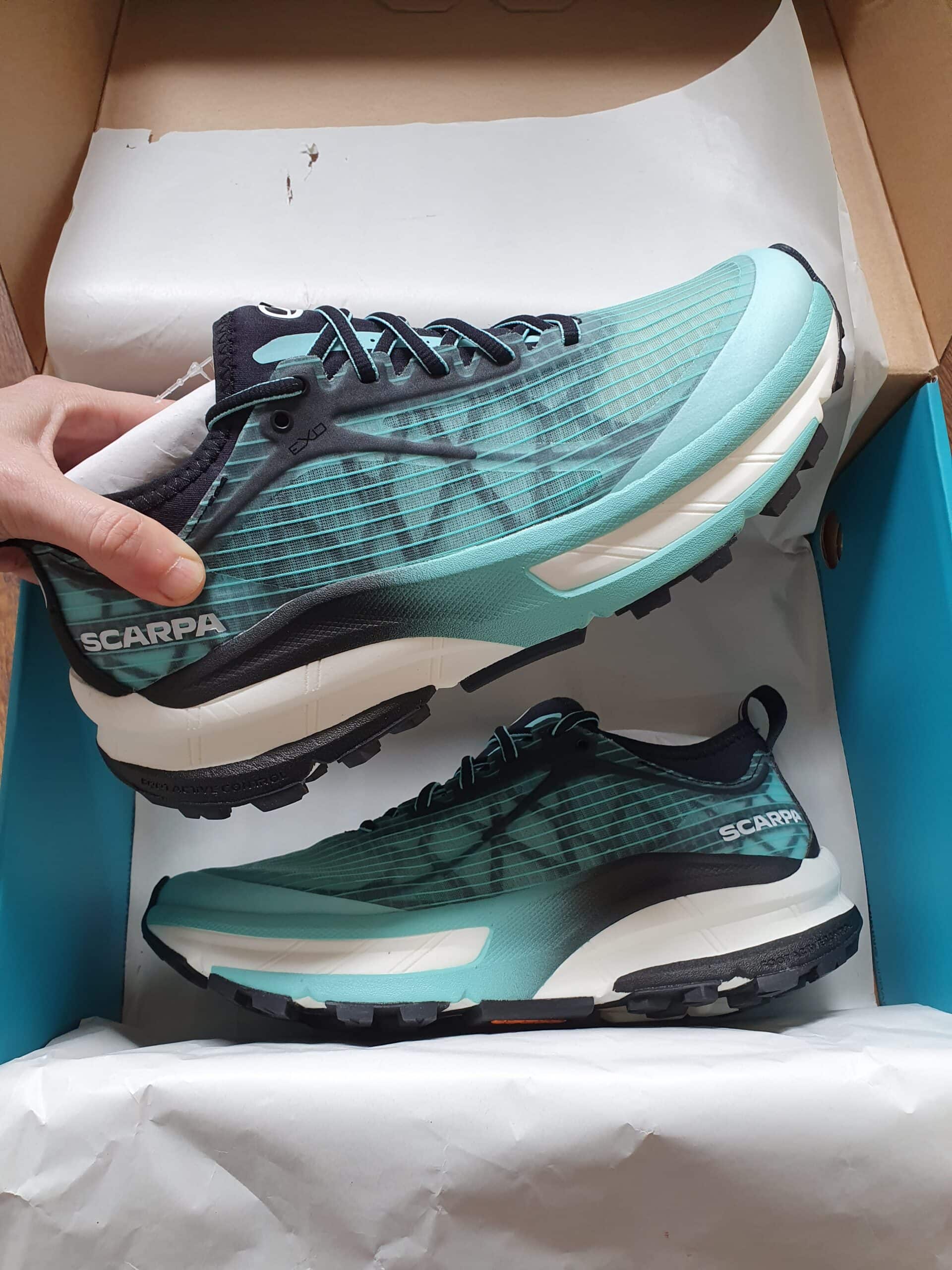 20230405 114554 scaled