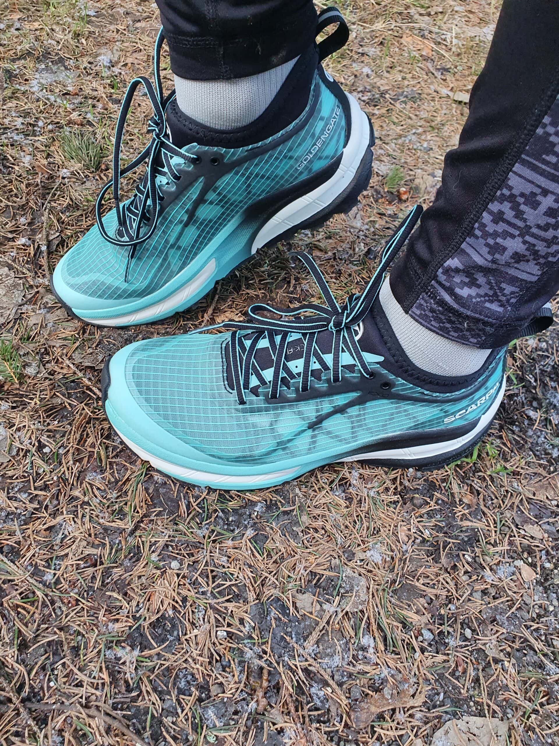 20230405 182554 scaled